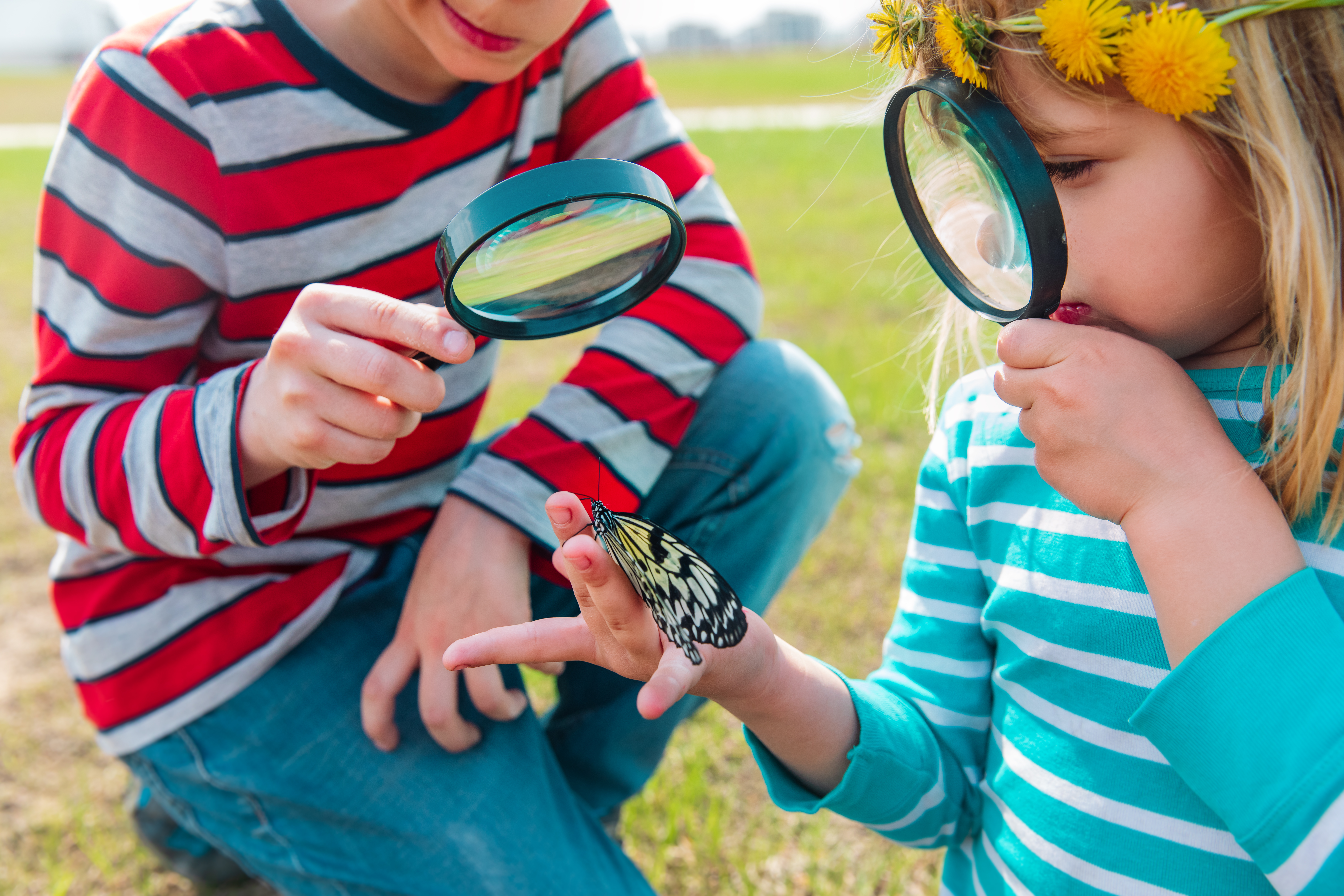 kinderparty Nachhaltigkeit__CO2-Ausgleich