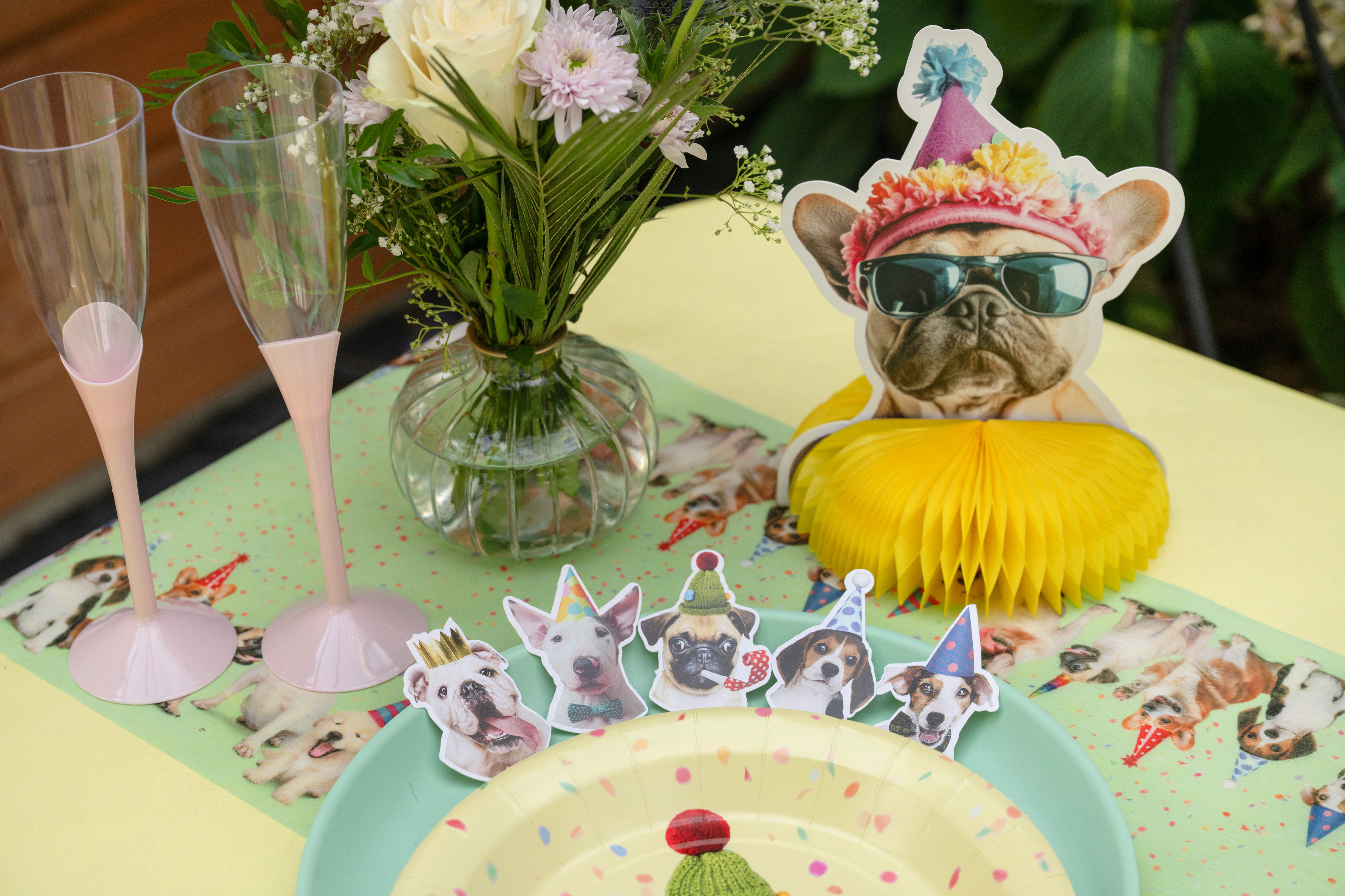 party, Hund, Dekoration, Tischdeko, Gläser