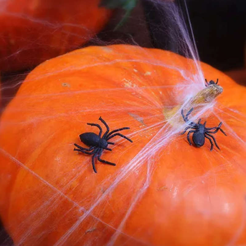 Kindergeburtstag-Spinnen_10_Stk_1