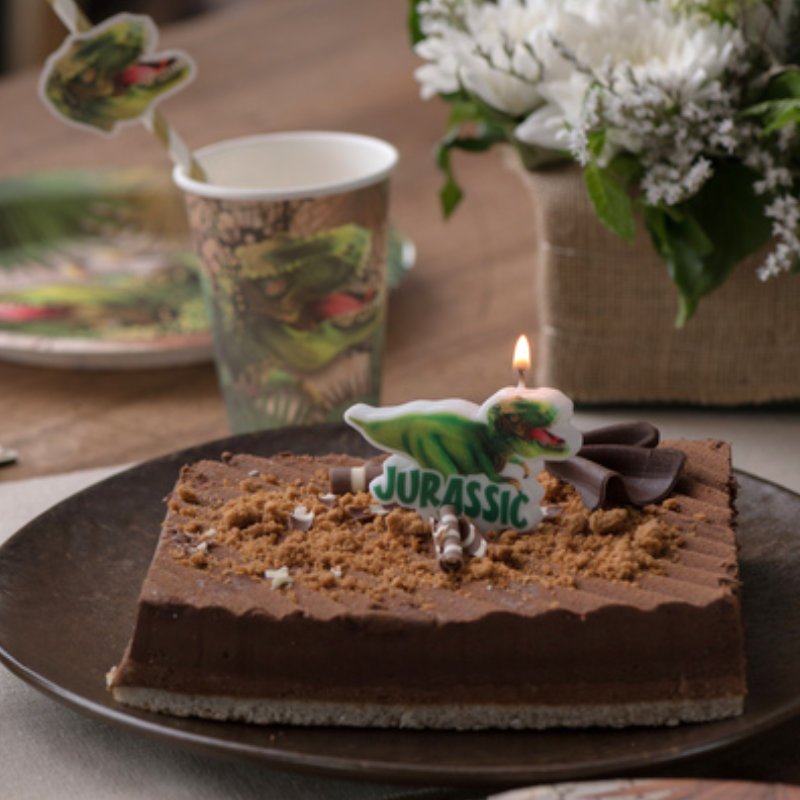 Kindergeburtstag-Geburtstagskerze_Dinosaurier_1