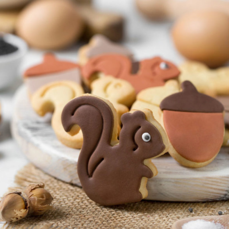 Kindergeburtstag-Ausstechformen_Eichhoernchen_2