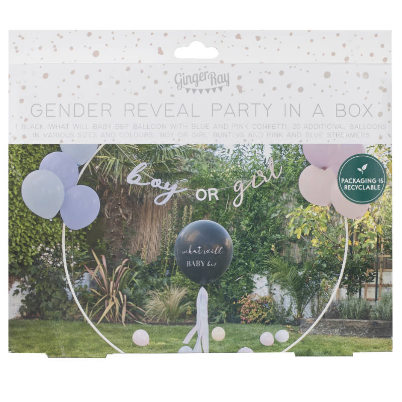 Kindergeburtstag-Raumdekoration-Ballon-Set-Gender-Reveal-2