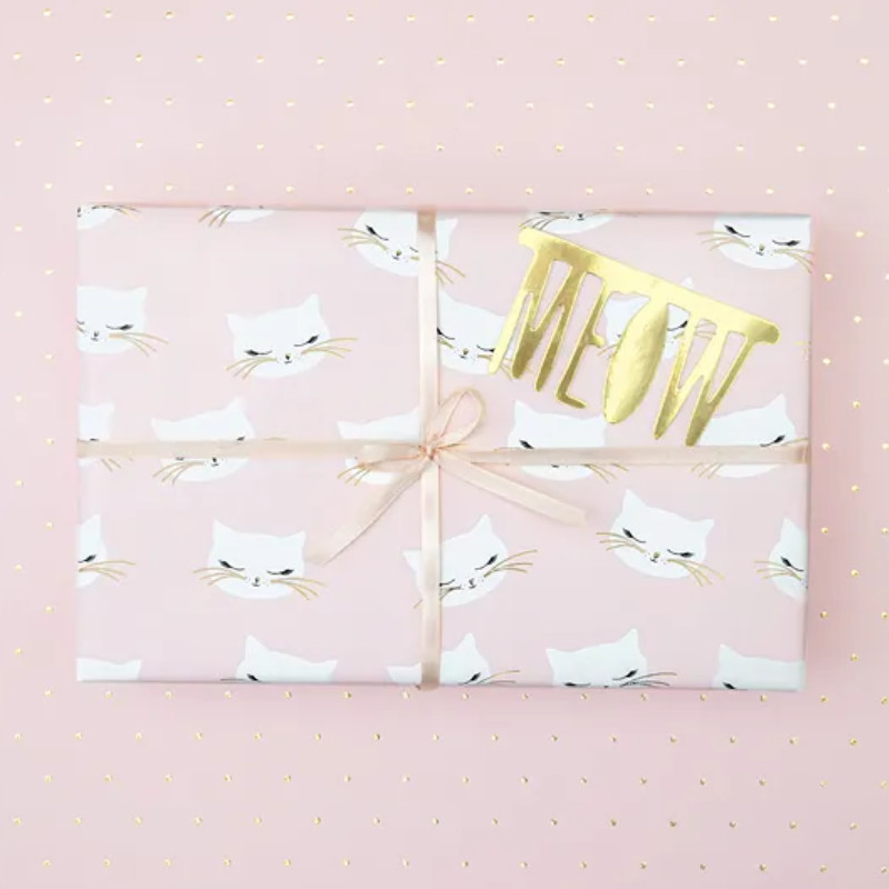 Kindergeburtstag-Geschenkpapier_Kaetzchen_2_Stk_2