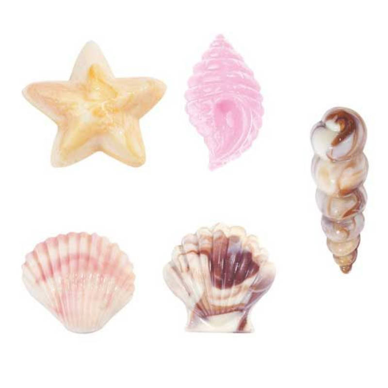 Kindergeburtstag-Wilton_Muschelform_1